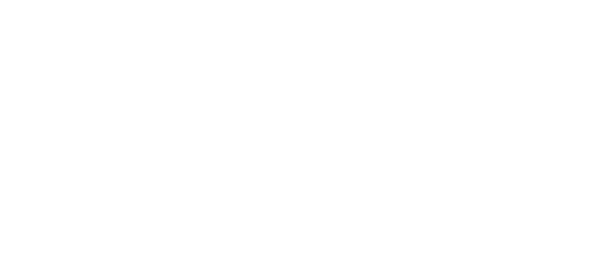 S&F white logo